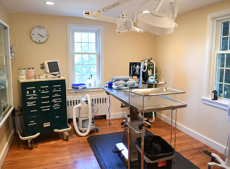 Hingham Veterinary Surgeries