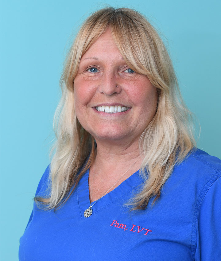 Pamela Finnerty